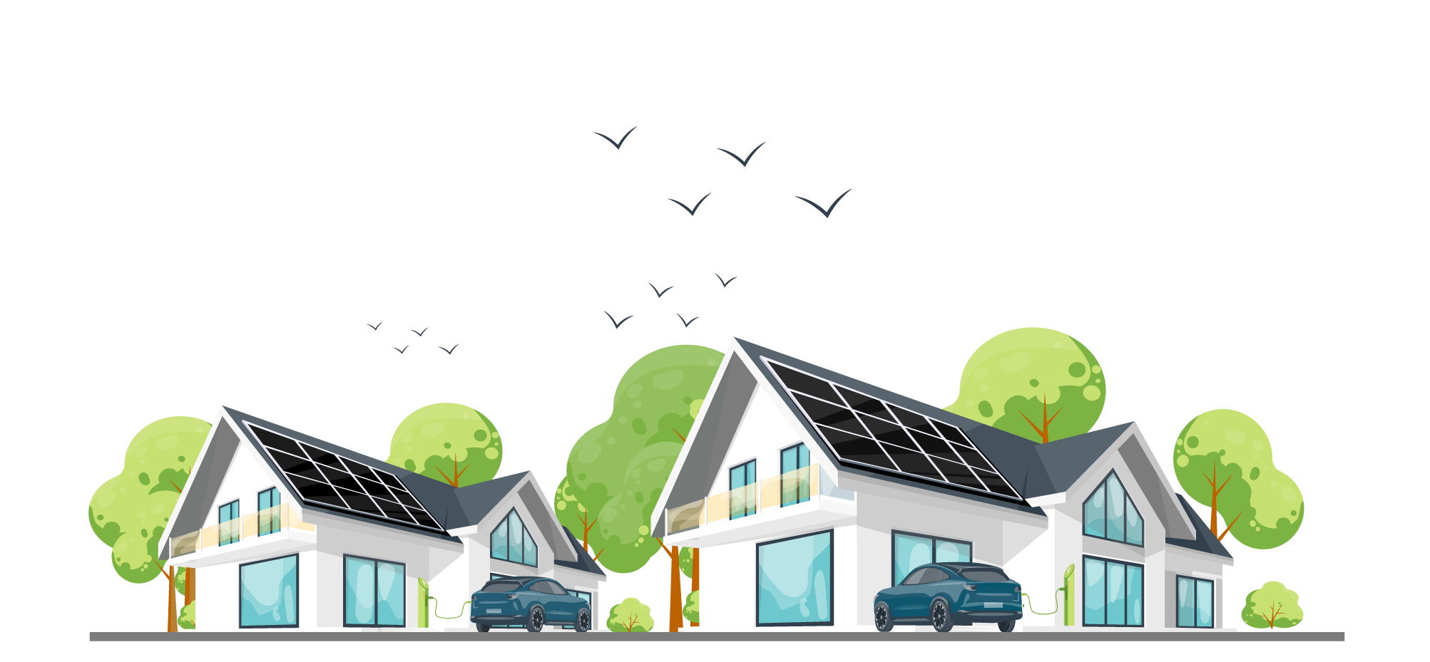 Description of your image